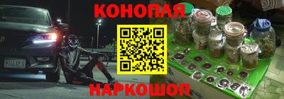 apvp Гагарин
