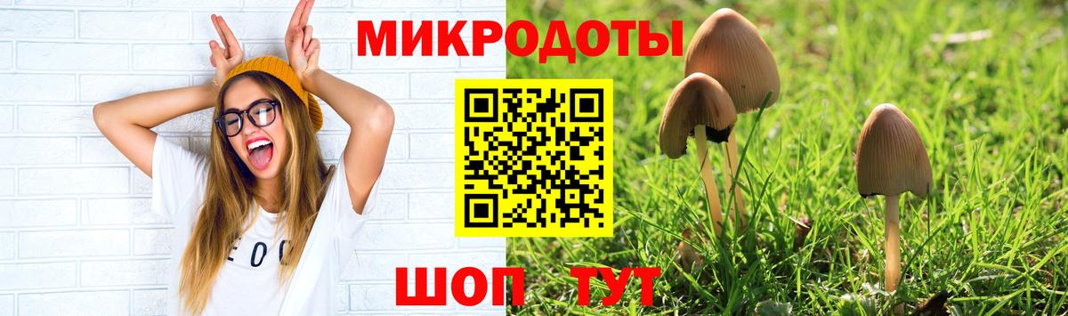 Псилоцибиновые грибы Magic Shrooms  Галлюциногенные грибы Psilocybe  Вход с VPN  Мытищи 